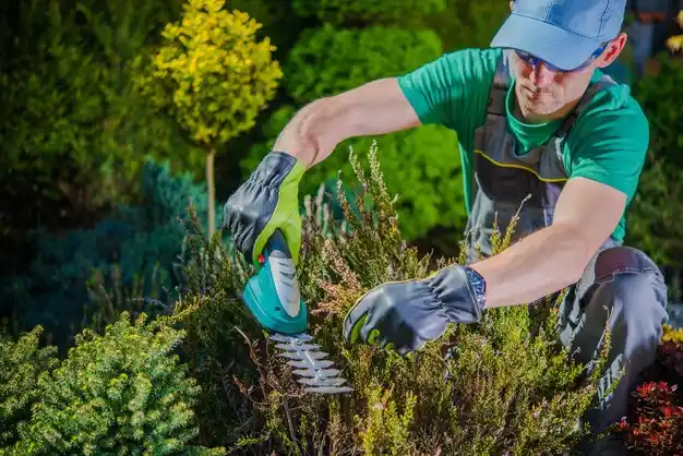 landscaping services Mountain Grove